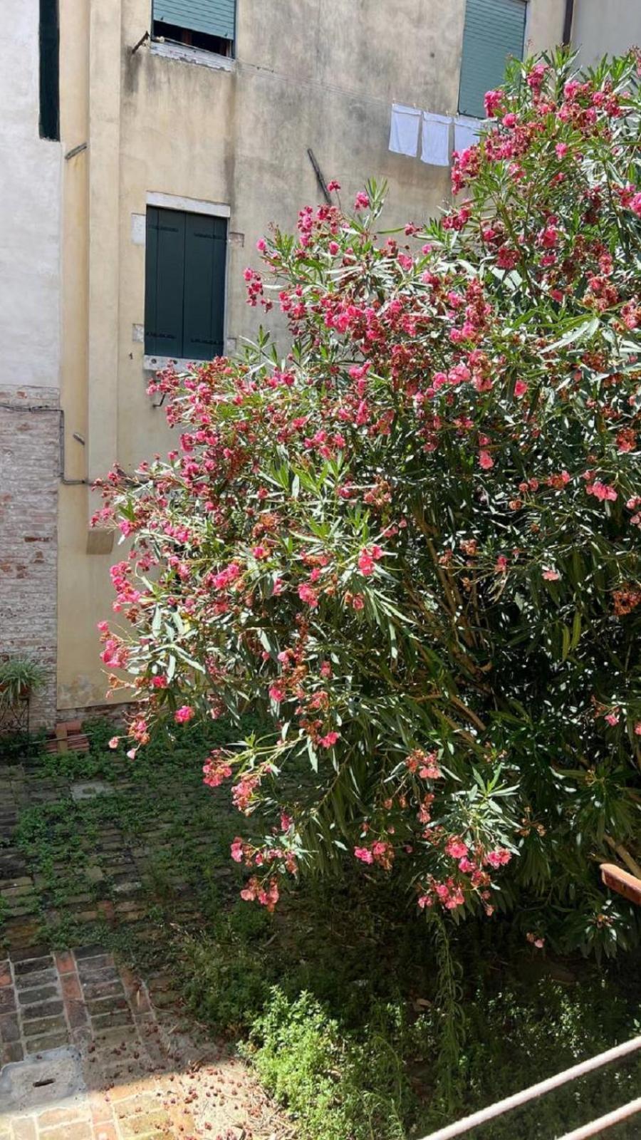 Ania Apartment Venice Exterior photo